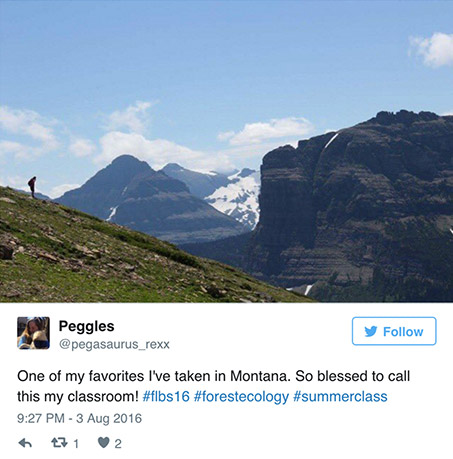 Ecology student hiking a ridge in Glacier National Park